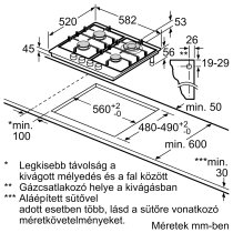 Beépíthető Gázfőzőlap Bosch PGH6B5B60